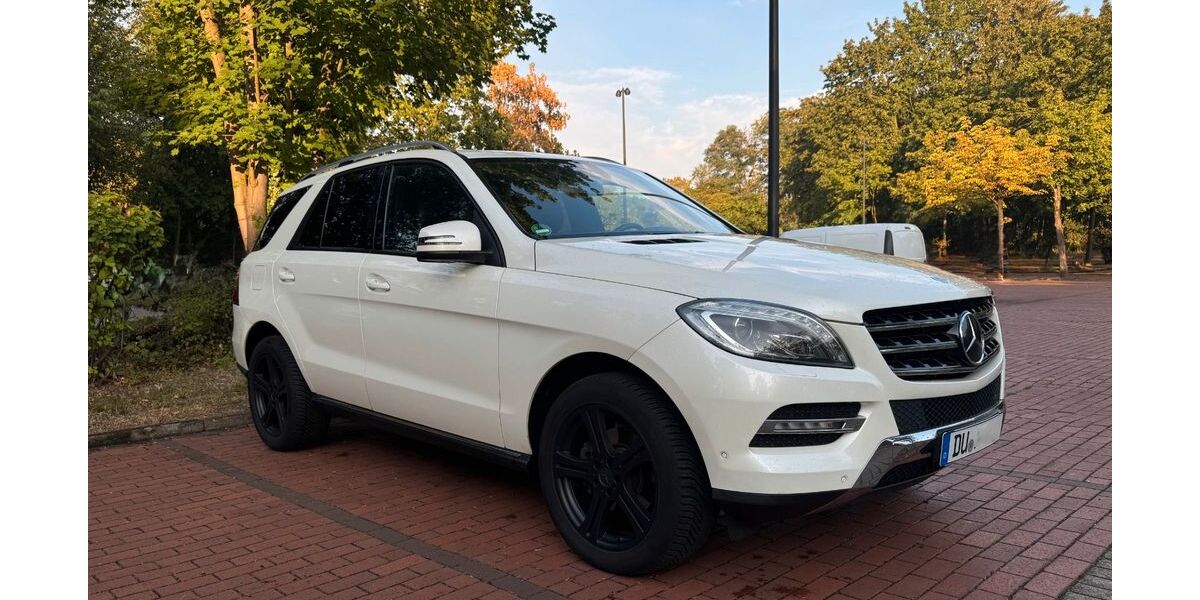 Mercedes-Benz ML 350 267.138 km 18.400 &euro; Duisburg 47169