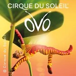 Logen-Packages | Cirque du Soleil - OVO